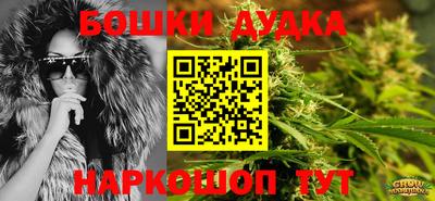 прущие крисы Будённовск