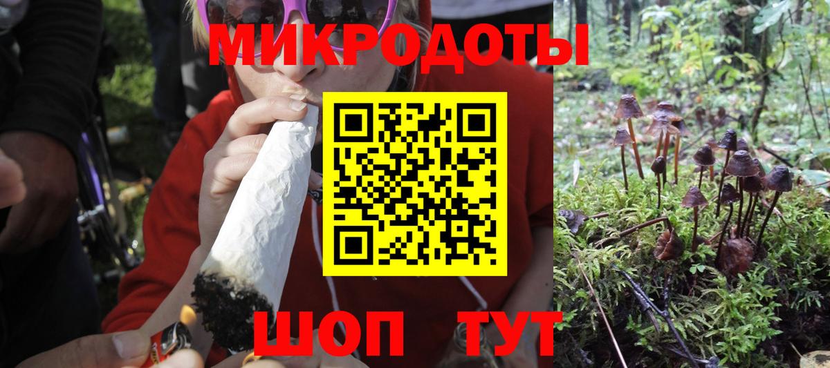 Коркино  Галлюциногенные грибы Psilocybe  Вход с VPN 